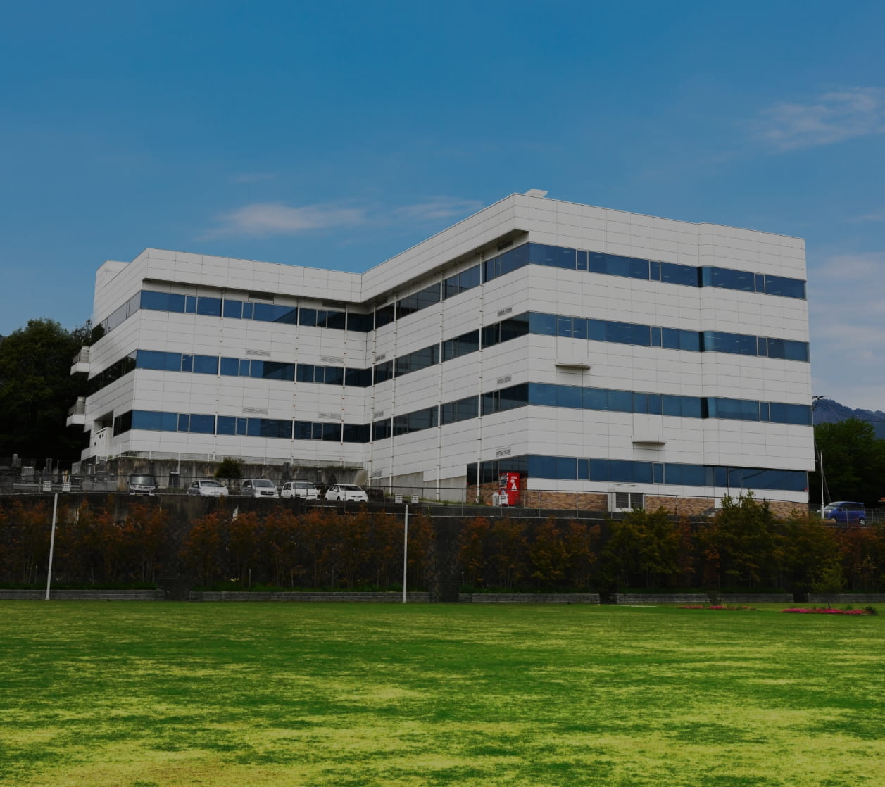 企業情報のイメージ